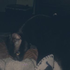 Meet your Posher, Jan